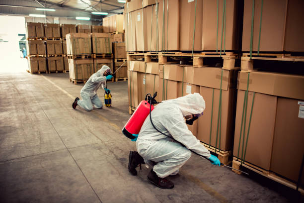 Best Wasp Removal Services  in Covington, KY