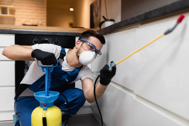 Best Pest Control Near Me  in Covington, KY