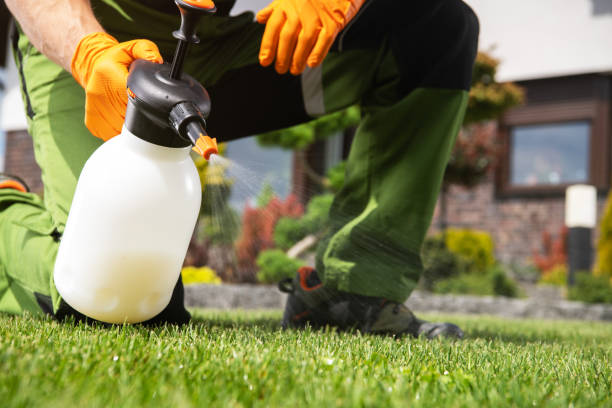 Best Best Pest Control Companies  in Covington, KY